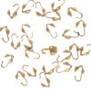 Bead Tip Clamshell, Gold Filled (20 Pieces) 