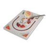 Bead Board with Lid, 28