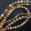 4mm Smooth Round, Crazy Lace Agate Beads (16