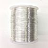 BULK, 24 Gauge, Non Tarnish Silver, Colored Copper Craft Wire, 1 LB (800 Feet) 