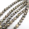 10mm Smooth Round, Dalmatian Jasper Beads (16