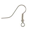 Fish Hook Earwire w/ Spring & Bead, Surgical Steel (144 Pieces) 