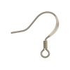 Flat Fish Hook Earwire w/ Spring, Surgical Steel (144 Pieces) 