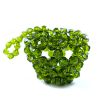 Faceted Bead Fruit 