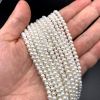 4mm Shell Pearls (White) (16