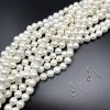 10mm Shell Pearls (White) (16