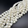 12mm Shell Pearls (White) (16