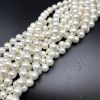 12mm Shell Pearls (White) (16