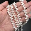 5/6mm Top-Drilled Dancing Freshwater Pearls, White (16