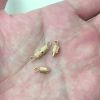 8mm Diagonal Ribbed Barrel Screw Clasp, Gold-Plated (36 Pieces) 