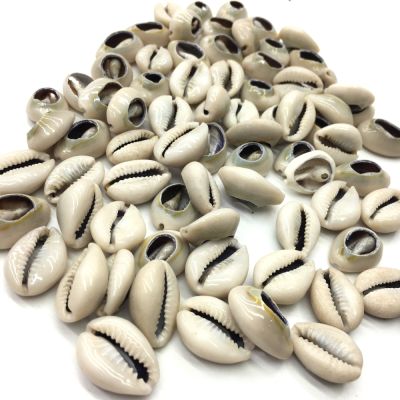 Cowry / Cowrie Shells, Natural Finish & Cut, 20-22mm, (Approximately 120 Pieces)